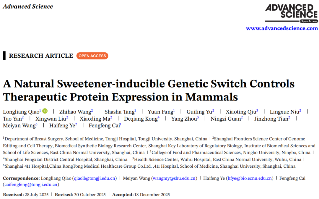 Advanced Science | 喝一口可乐就能启动细胞治疗？蔡丰丰团队研发“可饮用触发”的活体药物新策略