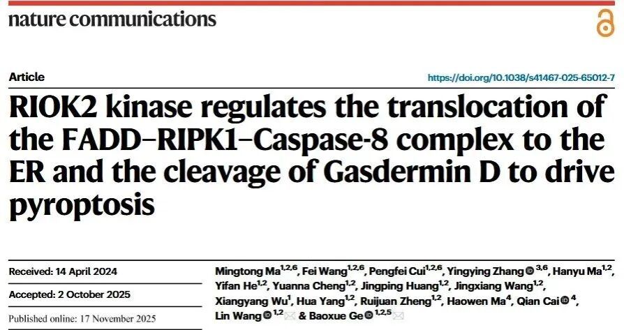 Nat Commun | 戈宝学教授团队合作揭示细胞焦亡新机制