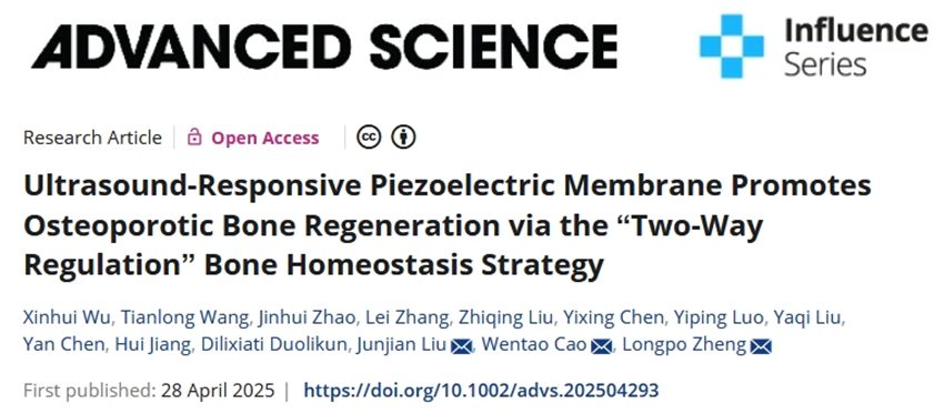 Advanced Science丨超声响应压电复合膜“双向调控”骨稳态，加速骨质疏松性骨缺损再生