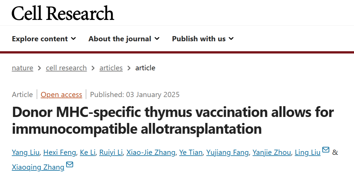 同济大学章小清/刘玲团队Cell Research研发同种异体器官或细胞移植免疫耐受新策略——供体MHC特异性胸腺疫苗接种